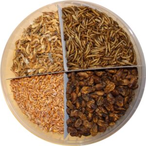 Product afbeelding