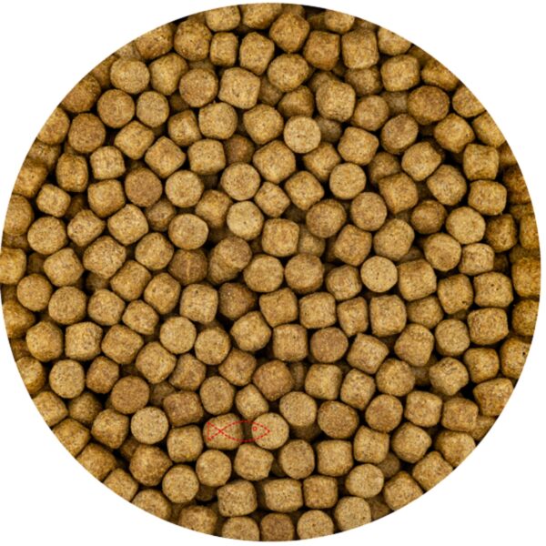 Vivani Wheat Germ Koivoer 6mm - Complete Koi Voedingsformule voor Vitaliteit, 6KG
