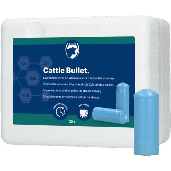 Cattle Bullet