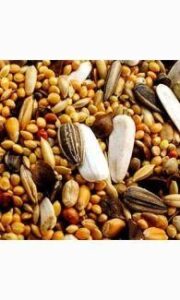 Volgende productafbeelding