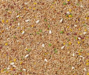 Volgende productafbeelding