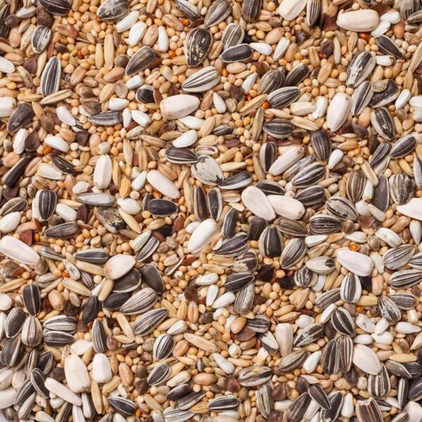 Deli Nature - Grote Parkiet Basis (Nr.30) 20kg