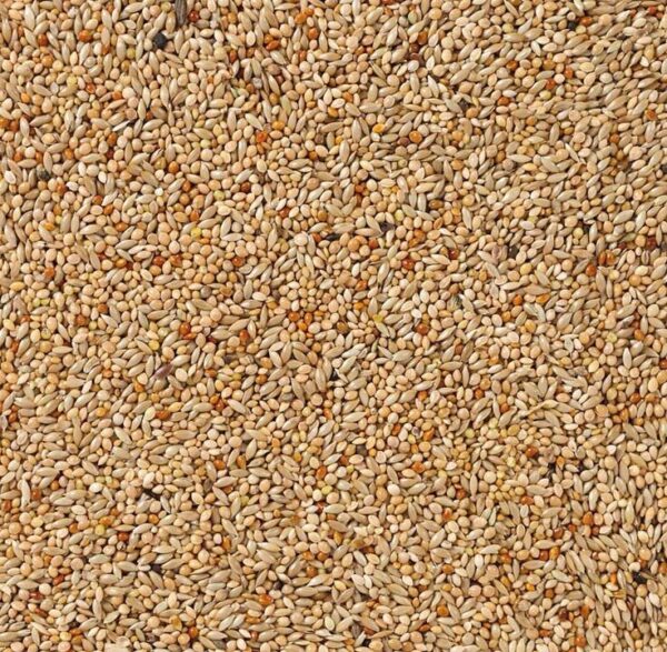 Deli Nature - Tropische Vogels Basis (Nr. 40) 20kg