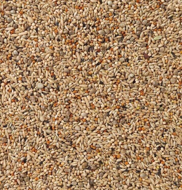 Deli Nature - Parkiet Kweek (Nr. 67) 20kg