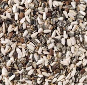 Vorige productafbeelding