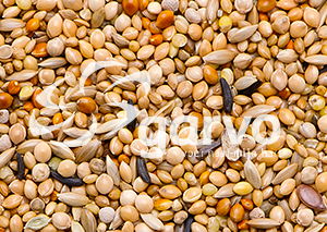 Product afbeelding