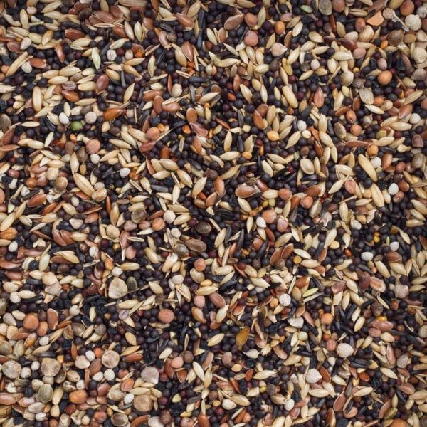 Deli Nature - Europese Vogels Basis (Nr. 99) 20kg