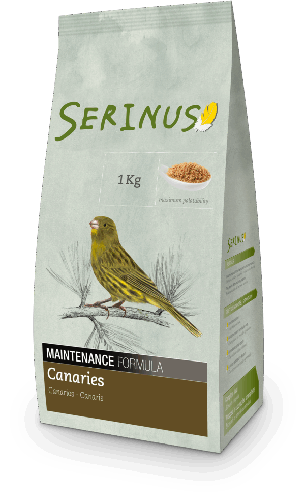 Serinus - Canaries Maintenance