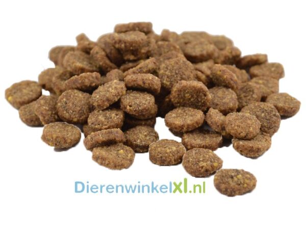 Bikkel - Premium - Senior/Light