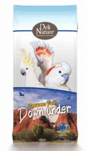Volgende productafbeelding