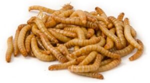 Vorige productafbeelding