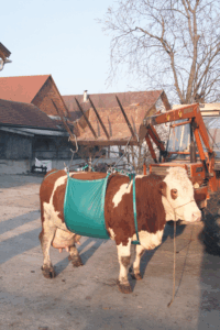 Vorige productafbeelding