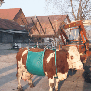 Product afbeelding