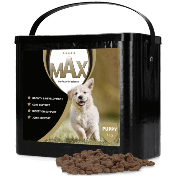 Max Puppy