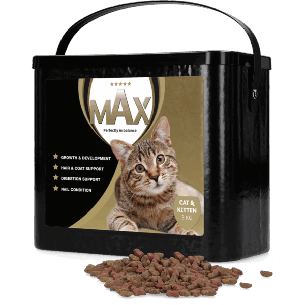 Max Kat en Kitten