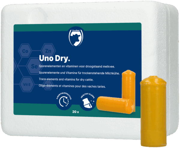 UNO Dry met Biotin