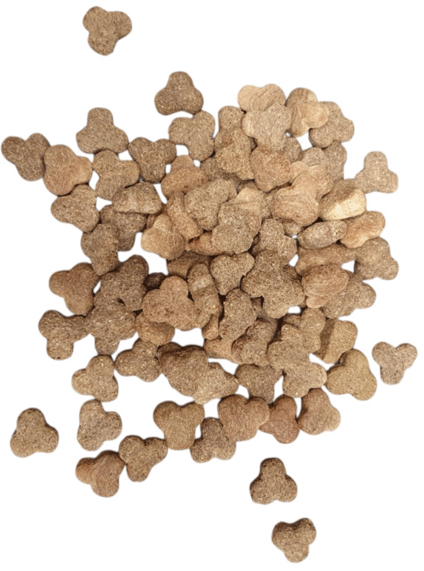Bikkel Regular Crackers Senior/light