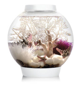 Volgende productafbeelding