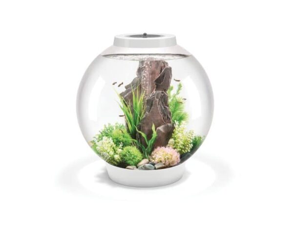 BiOrb Classic 60 LED wit