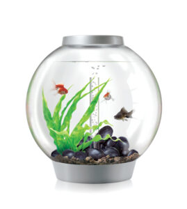 Volgende productafbeelding