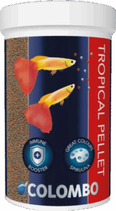 Volgende productafbeelding