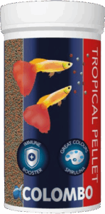 Volgende productafbeelding