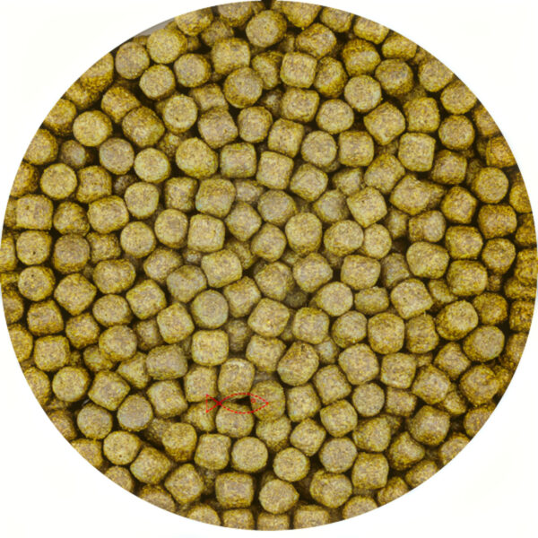 Vivani Color Koi Voer 3mm met Spirulina - Levendige Kleuren & Vitaliteit - 5 Liter Emmer