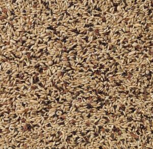 Volgende productafbeelding