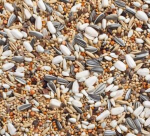 Vorige productafbeelding