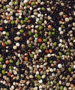 Volgende productafbeelding