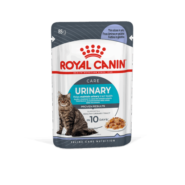 Royal Canin Urinary Care in Jelly (gelei) natvoer kattenvoer 12 x 85 gram