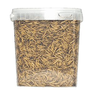 Product afbeelding